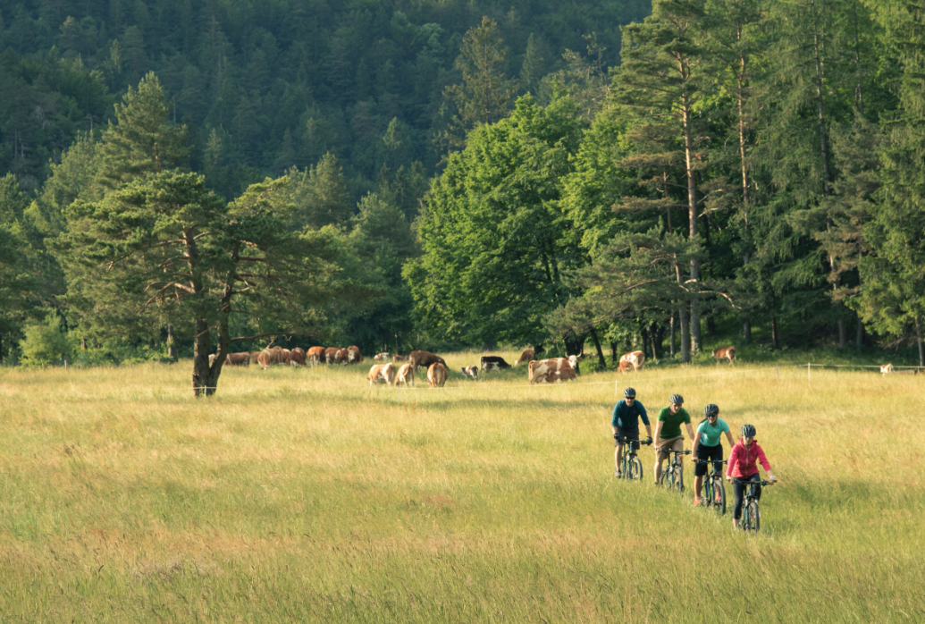 Mountain Biking scene 2