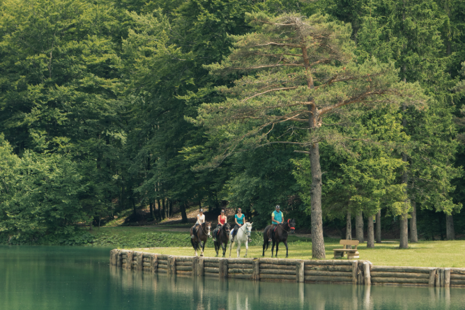 Horse Riding scene 1