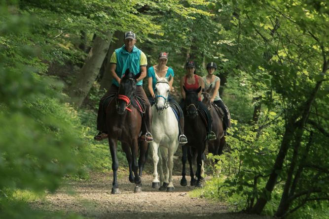 Horse Riding scene 2